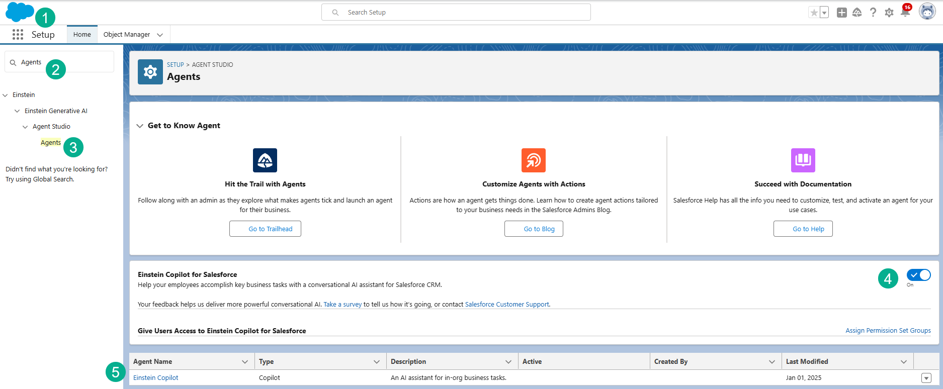 How to Get Started with Agentforce – Let's learn AgentForce Together!