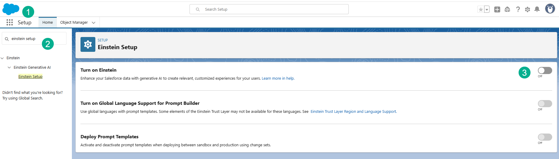 How to Finish Exercise I of the Prompt Builder Templates Superbadge